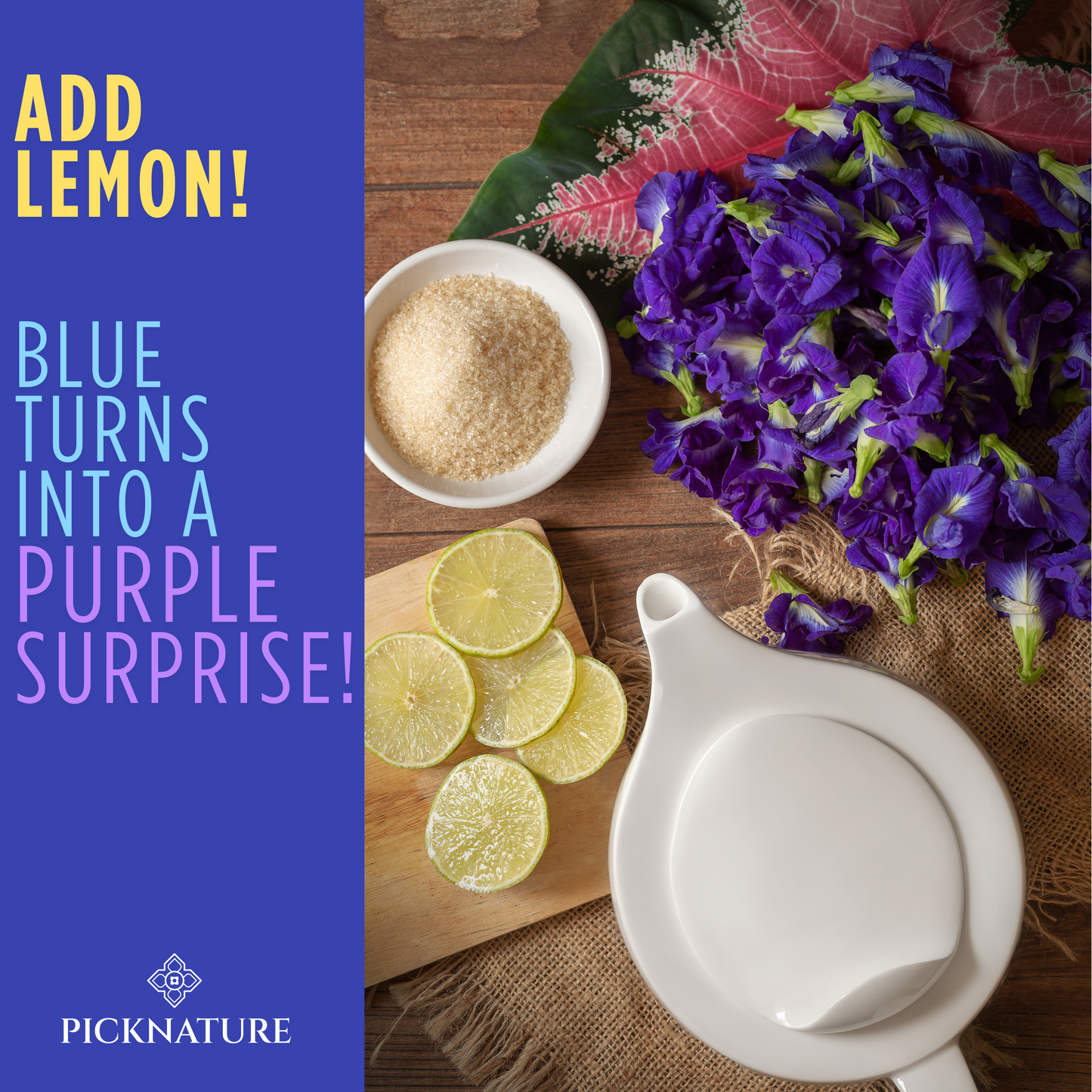PICKNATURE Butterfly Pea Flower Tea Loose Leaf Whole Petals Freshly Picked From Thailand | 3.50 oz. (300+ Cups) | Herbal Blue Tea Gifts | USDA Organic