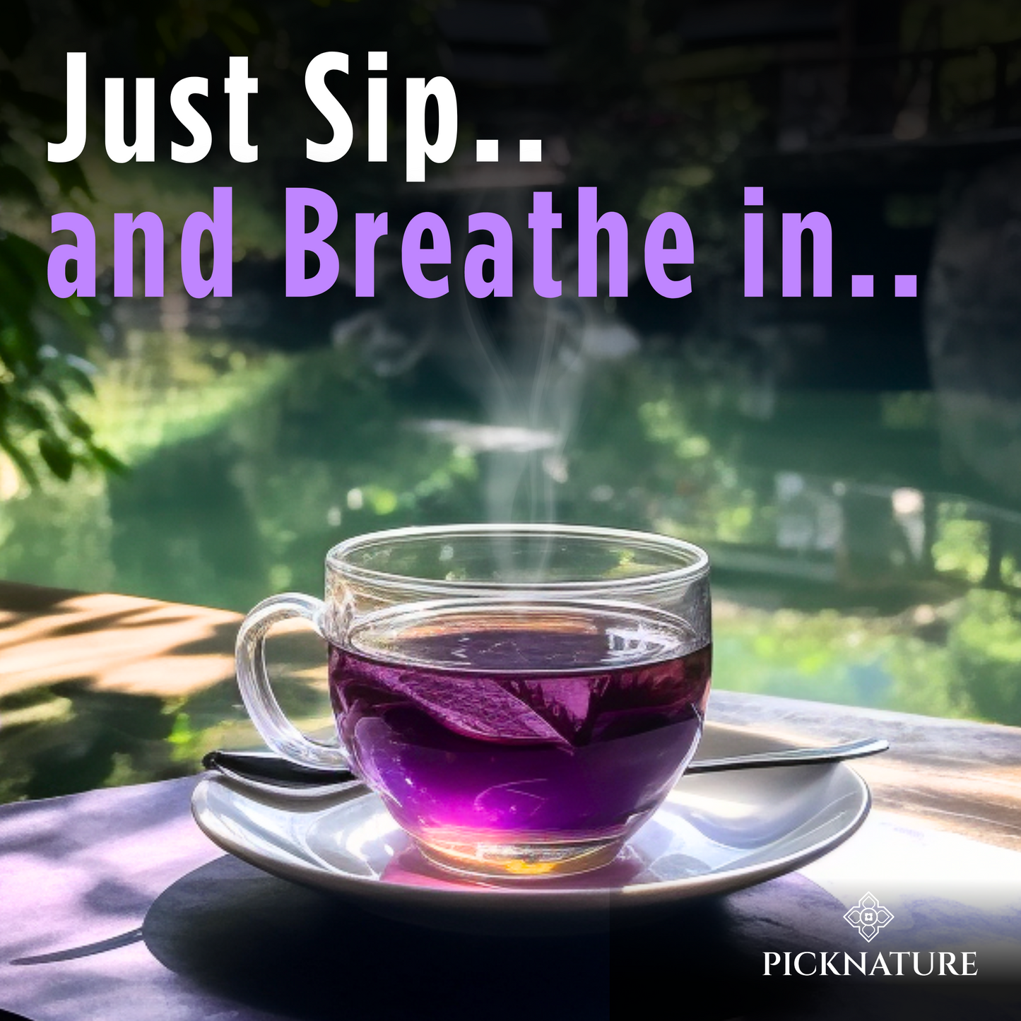 PICKNATURE 100% USDA Organic Purple Hibiscus tea Butterfly Pea Flower Tea 3.50 oz. Loose Leaf Tea - (300+ Cups) - Antioxidant Rich Dried Herbal Hibiscus flowers Butterfly pea Flowers - Product of Thailand