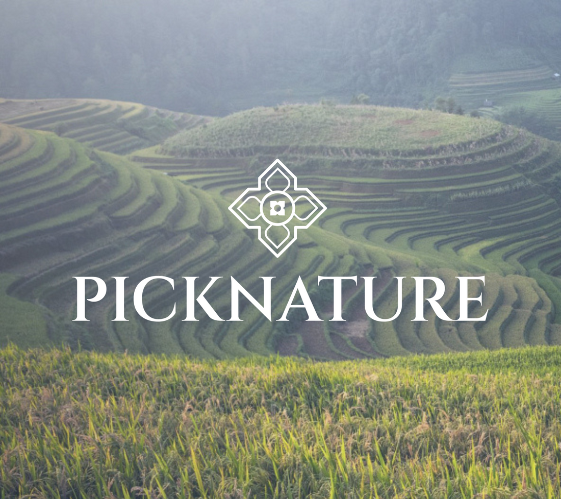 Who is PICKNATURE Brand