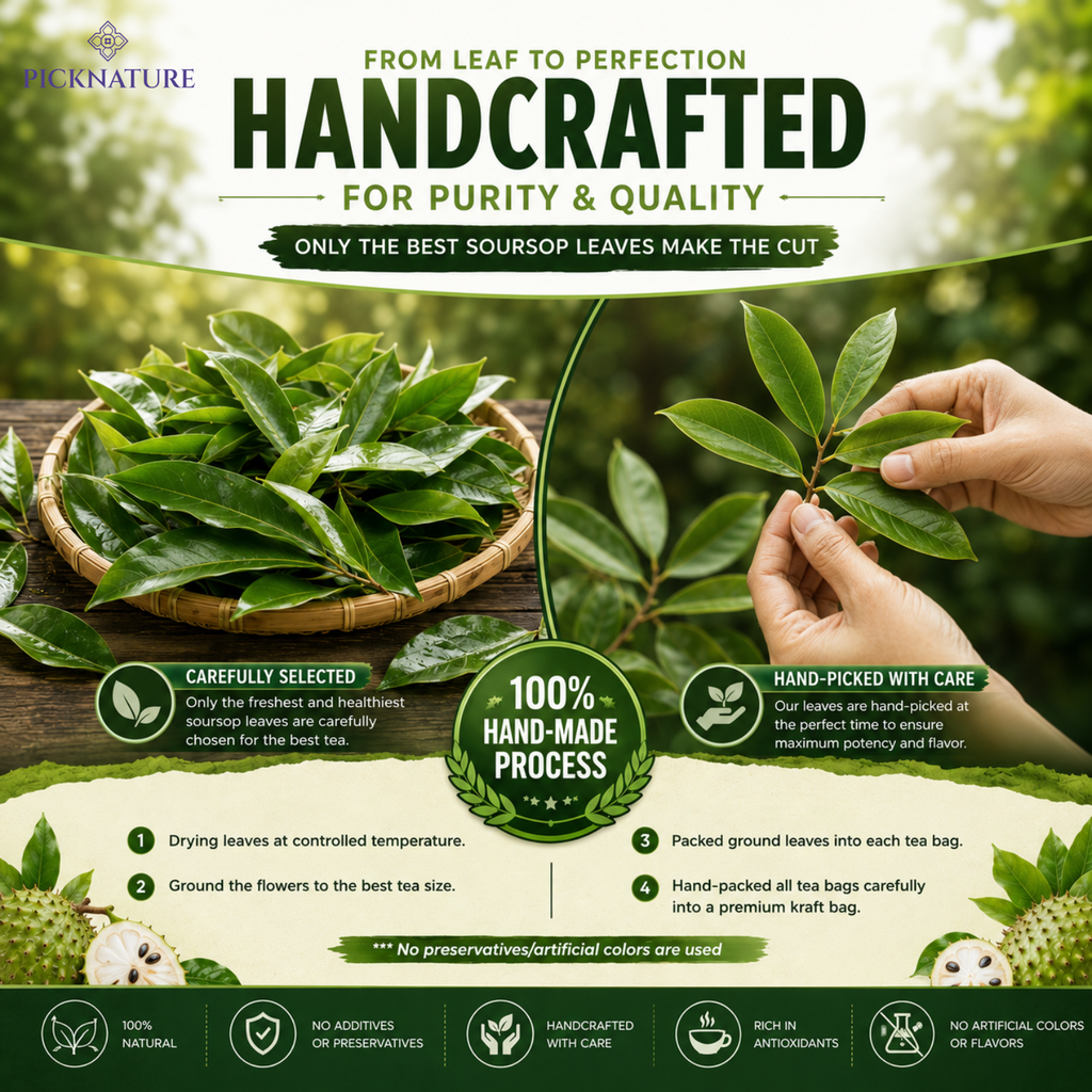 Organic Dried Soursop Tea Leaves | 1.76 oz (100+ Cups) | Smooth tea for detox