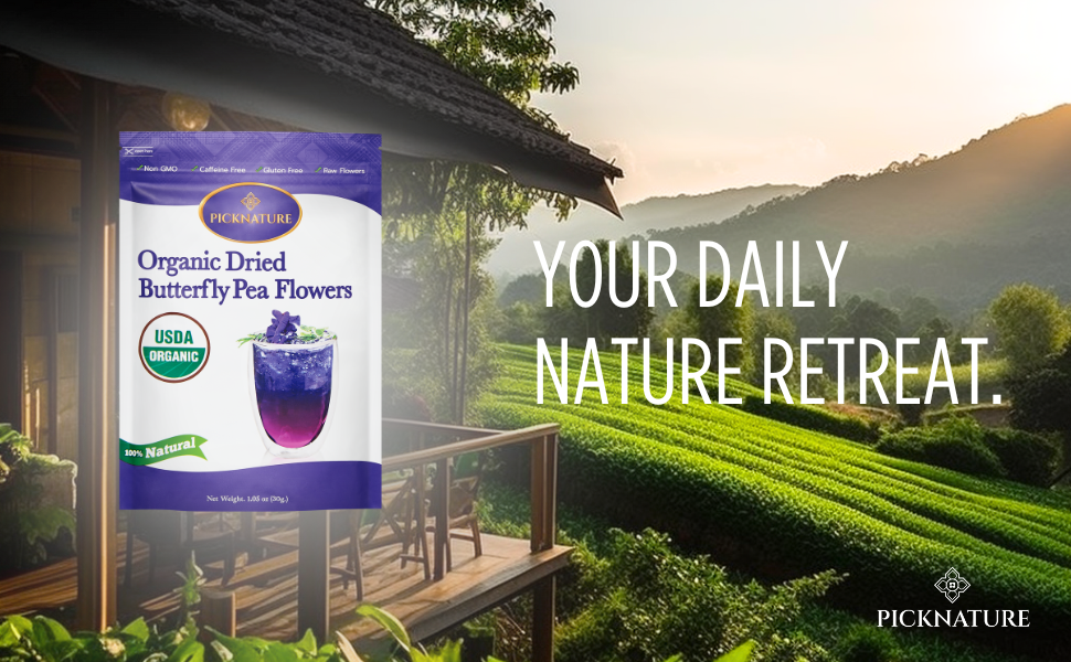 Butterfly Pea Tea | 3.50 oz (300+ cups) | Best value for daily wellness rituals
