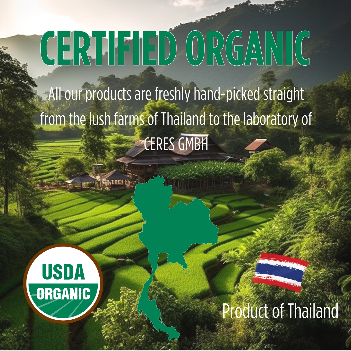 PICKNATURE USDA Organic Purple Hibiscus Butterfly Pea Flower Tea 2.11 oz. - 30 Tea Bags - Product of Thailand