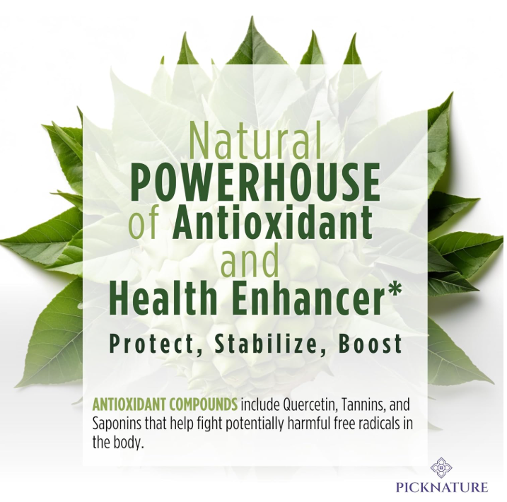 Organic Dried Soursop Tea Leaves | 1.76 oz (100+ Cups) | Smooth tea for detox