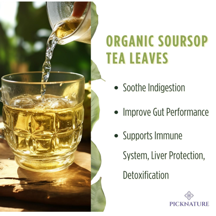 Organic Dried Soursop Tea Leaves | 1.76 oz (100+ Cups) | Smooth tea for detox