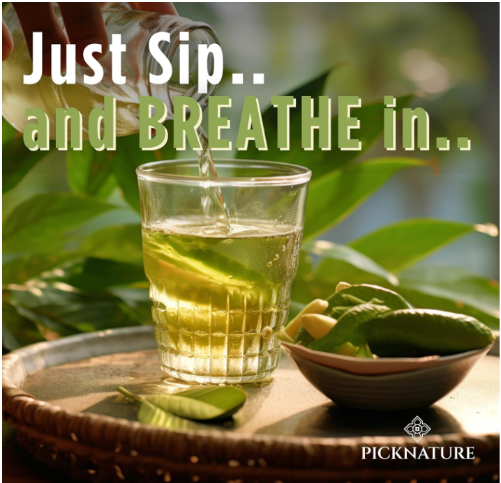 Organic Dried Soursop Tea Leaves | 1.76 oz (100+ Cups) | Smooth tea for detox