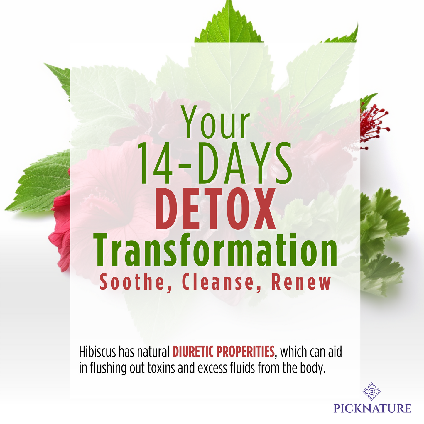 PICKNATURE Hibiscus Detox Cleanse Tea Freshly Picked from Thailand | 30 tea bags (100+ Cups) | Herbal Tea Gifts | USDA Organic
