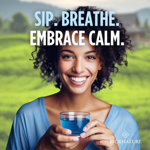 Butterfly Pea Tea | 3.50 oz (300+ cups) | Best value for daily wellness rituals