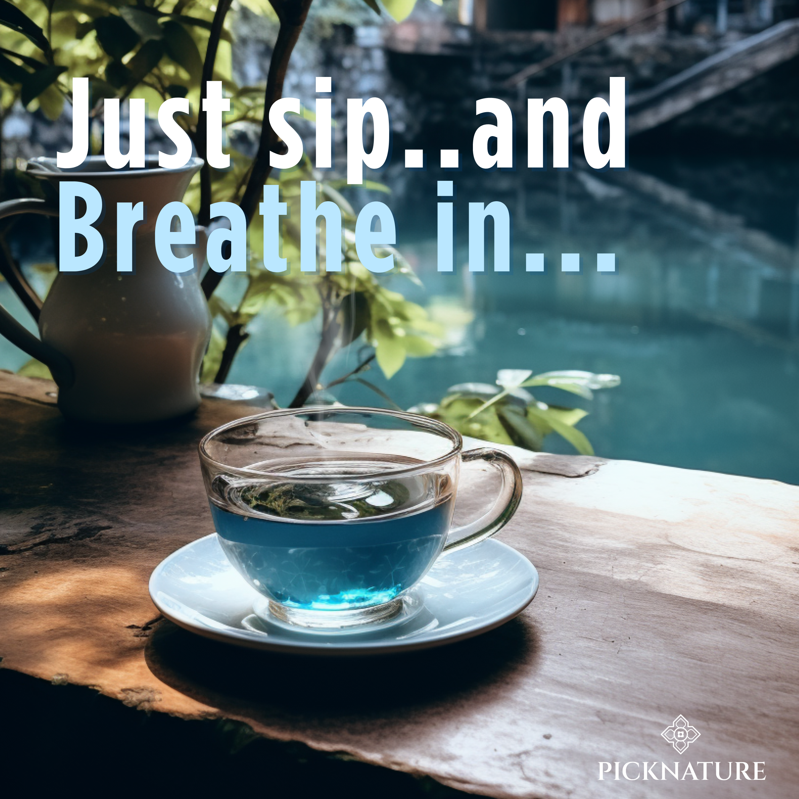 Butterfly Pea Tea | 1.05 oz Pack | Calming, antioxidant-rich floral tea